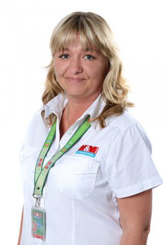 2012 - Nový začátek